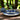 IshqME Deep Blue Dining & Decor Combo: Ceramic Dinner Set & Mini Vase - IshqMe